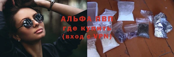 дживик Белокуриха