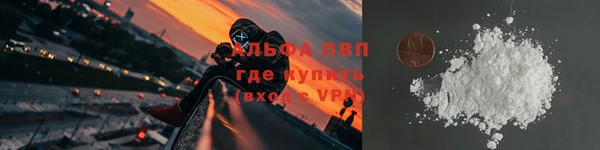 дживик Белокуриха