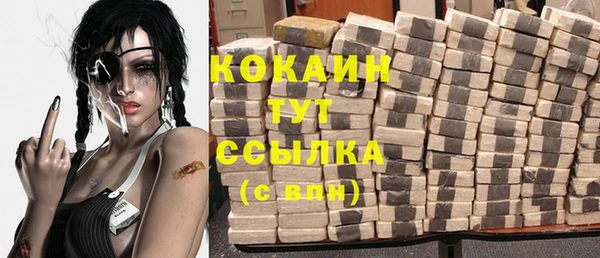 дживик Белокуриха