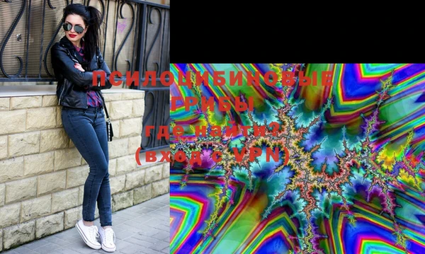 дживик Белокуриха