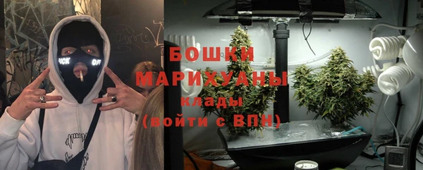 дживик Белокуриха