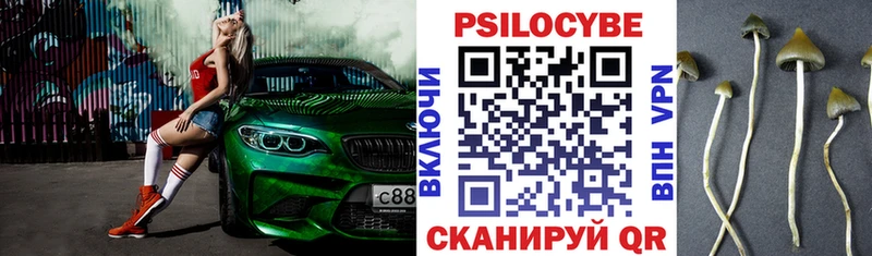 Псилоцибиновые грибы мицелий  Купить  Вилюйск 